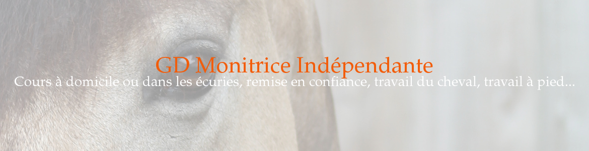 GD Monitrice Indépendante
