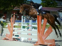 GD monitrice indépendante